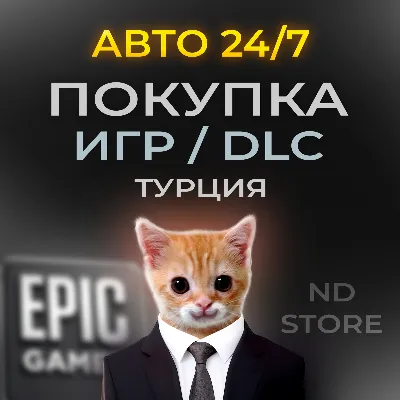АВТО 24/7 | Покупка ИГР/DLC/FAB В Epic Games | ТУРЦИЯ - irongamers.ru