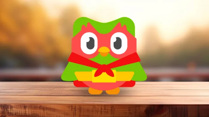 1 YEAR · DUOLINGO SUPER · ПРИГЛАШЕНИЕ · АВТО ДОСТАВКА
