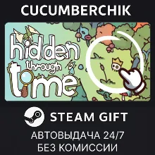 Hidden Through Time STEAM GIFT AUTO RU+МИР