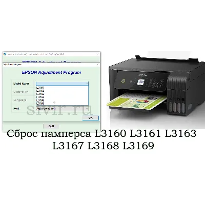 Сброс Epson L3160 Adjustment Program - irongamers.ru