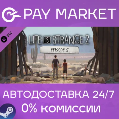 Life is Strange 2 - Episode 5 | АВТОДОСТАВКА RU Steam - irongamers.ru