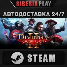 Divinity: Original Sin 2 STEAM АВТО RU/UA/KZ/СНГ