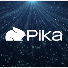 Pika AI Fancy (6000 кредитов) Подписка 1 месяц на ваш а