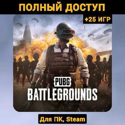 [STEAM] PUBG аккаунт от 3000 + часов + Почта! - irongamers.ru