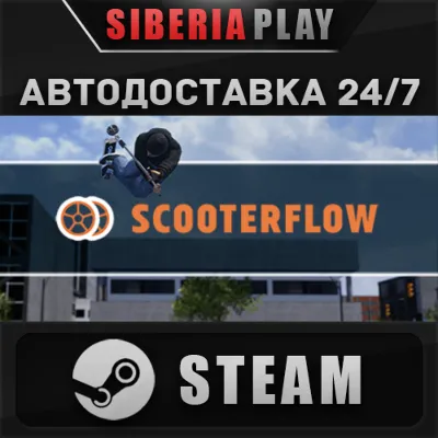 ScooterFlow STEAM АВТО RU/UA/KZ/СНГ - irongamers.ru