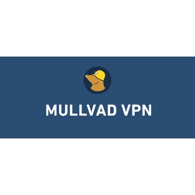 Mullvad VPN Premium (1 месяц) (GLOBAL) АВТОДОСТАВКА - irongamers.ru