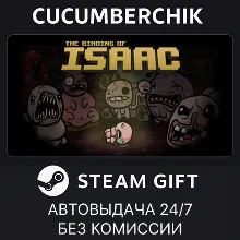The Binding of Isaac STEAM GIFT AUTO RU+МИР