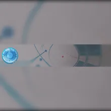 Destiny 2 - Emblem (Миопия) PC, PS, Xbox