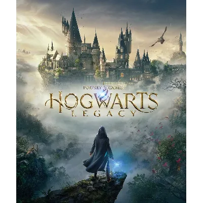 Hogwarts Legacy (Steam Global) Offline, No Guard - irongamers.ru