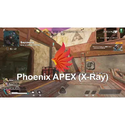 Phoenix APEX (X-Ray) - irongamers.ru