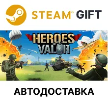 Heroes of Valor Steam РУ КЗ УКР ТР РБ СНГ авто