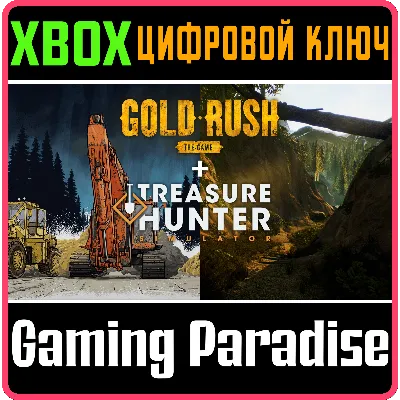 ПАКЕТ СИМУЛЯТОРОВ: TREASURE HUNTER SIMULATOR И ЗОЛОТАЯ - irongamers.ru