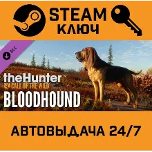 TheHunter: Call of the Wild - Bloodhound. STEAM-ключ