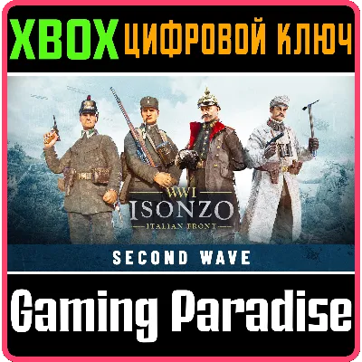 ISONZO - SECOND WAVE XBOX КЛЮЧ/КОД - irongamers.ru