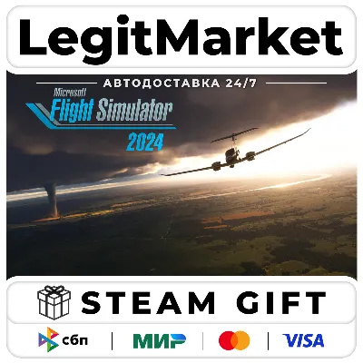 Microsoft Flight Simulator 2024 +ВЫБОР STEAM - irongamers.ru