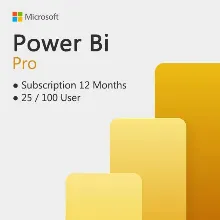 POWER BI PRO 25/100 users 1 year ключ