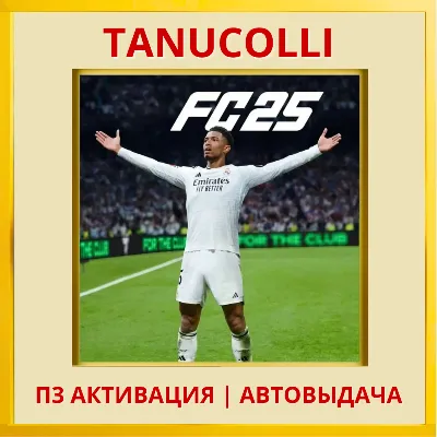 FC 25 / EA SPORTS FC™ 25 PS4/PS5 ТУРЦИЯ - irongamers.ru