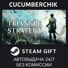 TRIANGLE STRATEGY STEAM GIFT AUTO RU+МИР