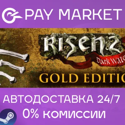 Risen 2: Dark Waters Gold Edition | АВТО RU Steam gift - irongamers.ru