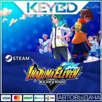 INAZUMA ELEVEN: Victory Road · Standard/Deluxe Steam RU - irongamers.ru