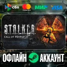⭐S.T.A.L.K.E.R.: Call of Pripyat - STEAM[Region free]