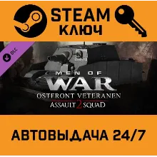 Men of War: Assault Squad 2 - Ostfront Veteranen DLC.