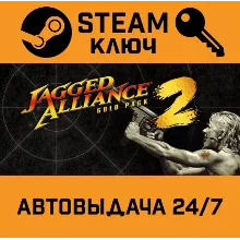 Jagged Alliance 2: Gold. STEAM-ключ (Global)
