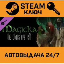 Magicka - The Stars Are Left DLC. STEAM-ключ (Global)