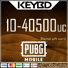 PUBG Mobile UC GLOBAL 10-40500 UC · КОД ПОПОЛНЕНИЯ