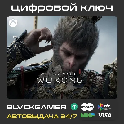BLACK MYTH: WUKONG XBOX SERIES X|S KEY - irongamers.ru
