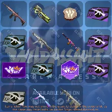 Wild Assault Твич Дропсы 15 предметов +