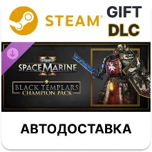 Warhammer 40,000 Space Marine 2 Black Templars Champ