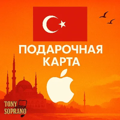 Apple App Store, iTunes Gift Card 10 TRY (10 TL) - irongamers.ru