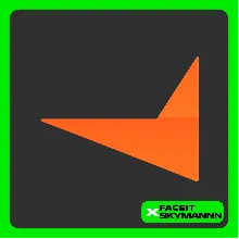 FACEIT ПОДПИСКИ | 1-12 месяцев | PLUS / PREMIUM