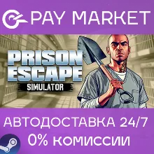 Prison Escape Simulator: Dig Out | АВТО RU Steam gift