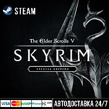The Elder Scrolls V: Skyrim СТИМ Steam Gift