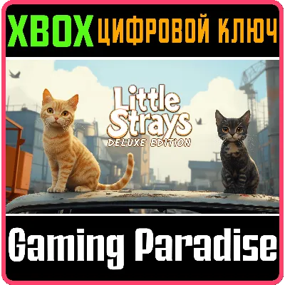 LITTLE STRAYS: DELUXE EDITION XBOX КЛЮЧ/КОД - irongamers.ru