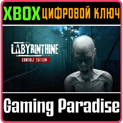 LABYRINTHINE - CONSOLE EDITION XBOX SERIES S|X КЛЮЧ/КОД - irongamers.ru
