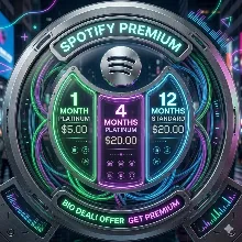 Spotify Premium 1/4/12 Платиновый/Стандарт