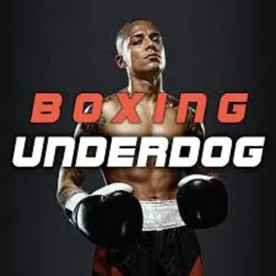 Boxing Underdog для oculus quest 3(а) в подарок - irongamers.ru