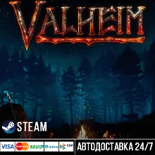 Valheim СТИМ Steam Gift