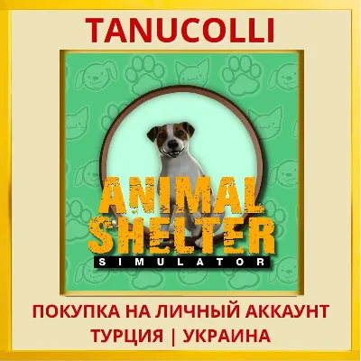 Animal Shelter Simulator PS4/PS5/PS Турция/Украина - irongamers.ru