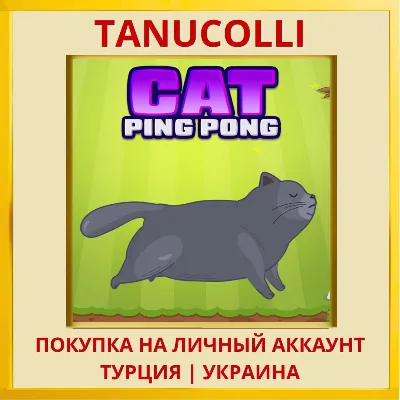 Cat Ping Pong PS4/PS5/PS Турция/Украина - irongamers.ru