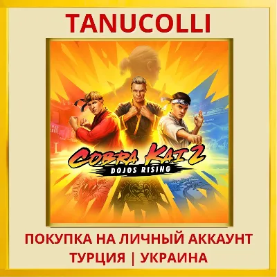 Cobra Kai 2: Dojos Rising PS4/PS5/PS Турция/Украина - irongamers.ru
