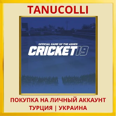 Cricket 19 PS4/PS5/PS Турция/Украина - irongamers.ru
