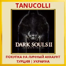 DARK SOULS™ II: Scholar of... PS4/PS5/PS Турция/Украина