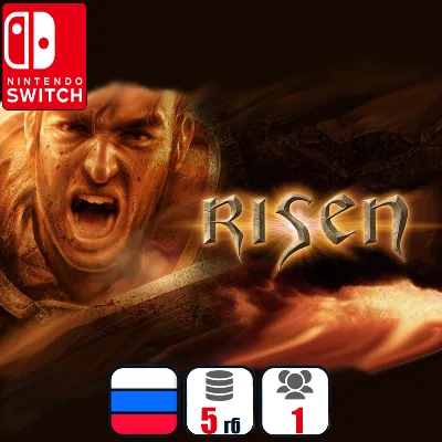 Risen | Nintendo Switch 1/2 - irongamers.ru