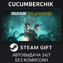 Sherlock Holmes The Awakened STEAM GIFT AUTO UA+МИР