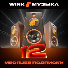 WINK МУЗЫКА 1-12 МЕСЯЦЕВ, АВТОВЫДАЧА 24/7
