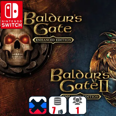 Baldur's Gate And Baldur's Gate II | Nintendo Switch 1/2 - irongamers.ru